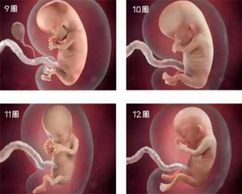 哪两种血型不能生孩子：多囊女性如何代孕学会