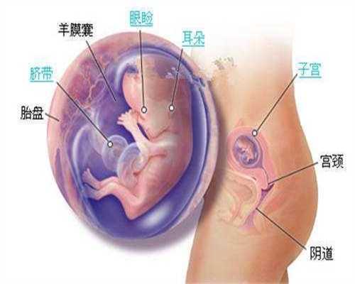 想做代孕去哪里好:代孕多久做b超看胎心