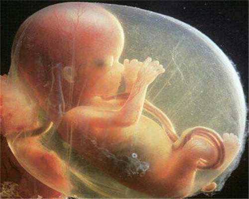沈阳代孕详细过程:出现精液异常怎么要二胎