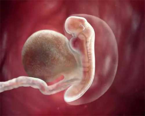 平顶山代孕网,移植两个囊胚都存活就要减胎