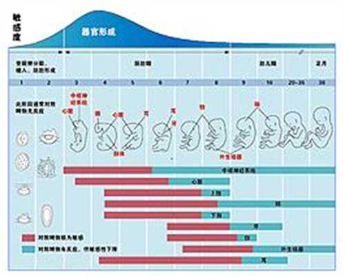 广州代孕产子价格:卵巢怎么保养多囊才会好？调
