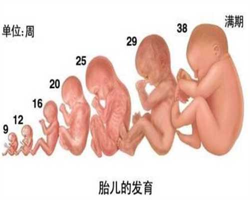 上海代孕一个孩子多少钱:问一下卵巢癌患者有什