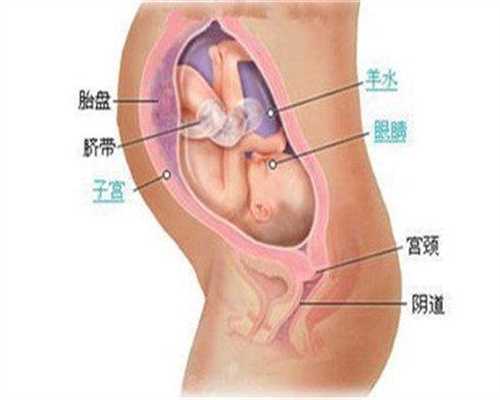 上海代孕一个孩子多少钱:问一下卵巢癌患者有什